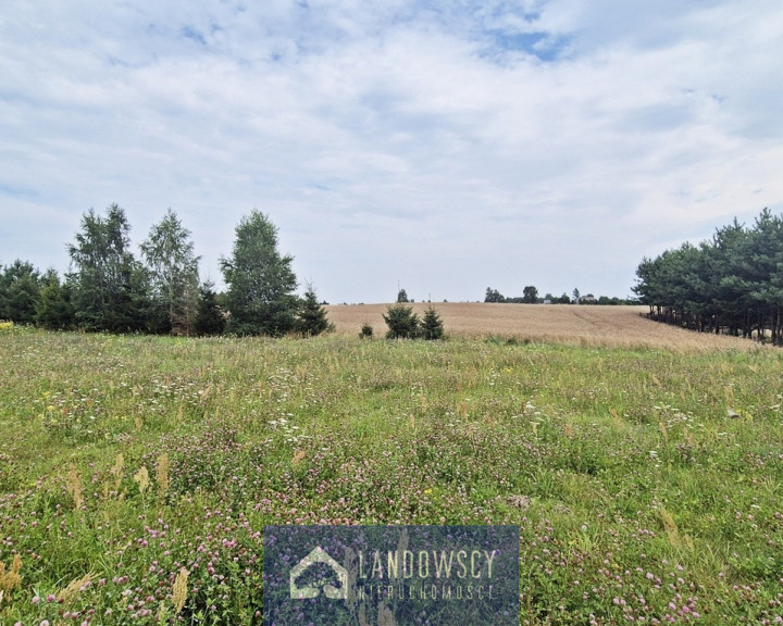 Działka Sprzedaż Pinczyn Ciska