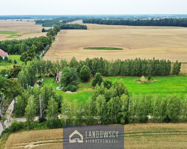 Działka Sprzedaż Radziejewo