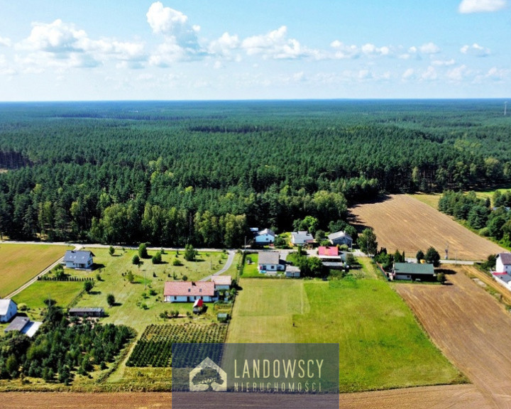 Działka Sprzedaż Osowo Leśne