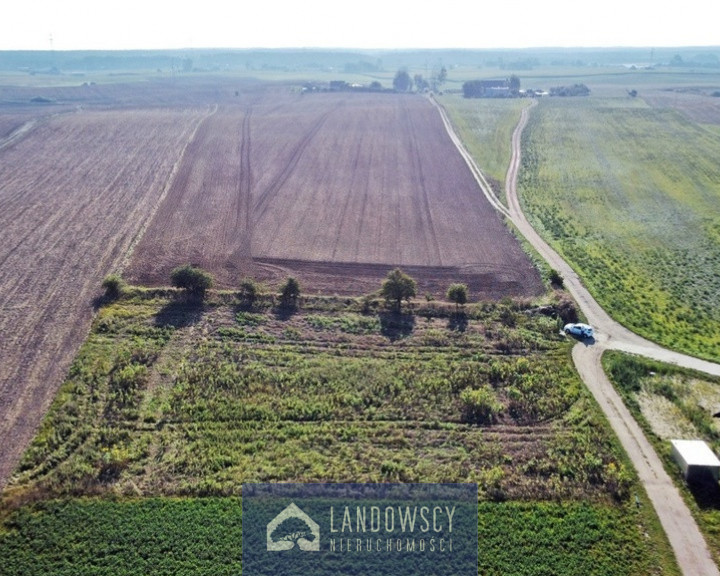 Działka Sprzedaż Linowiec