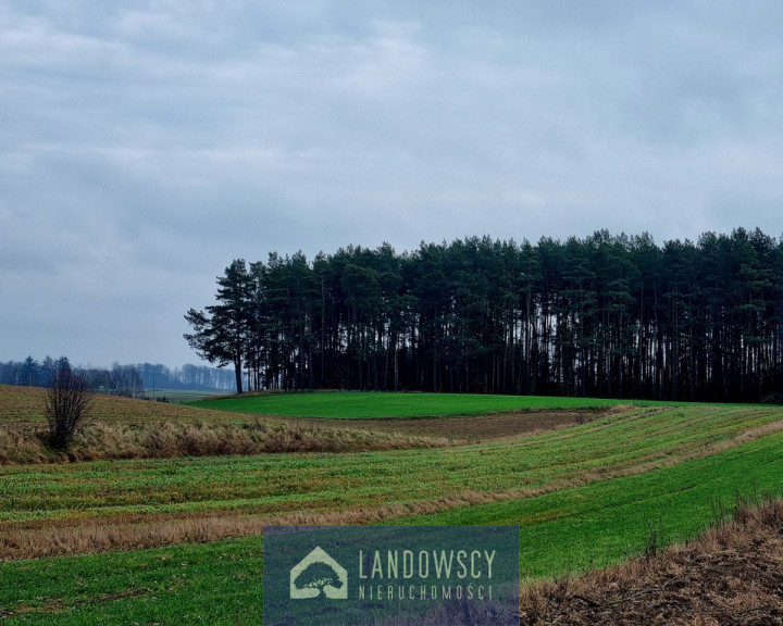 Działka Sprzedaż Jaroszewy