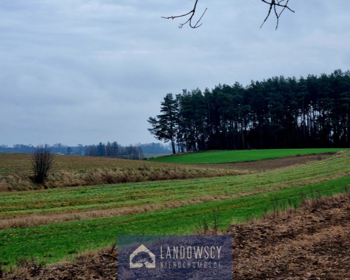 Działka Sprzedaż Jaroszewy