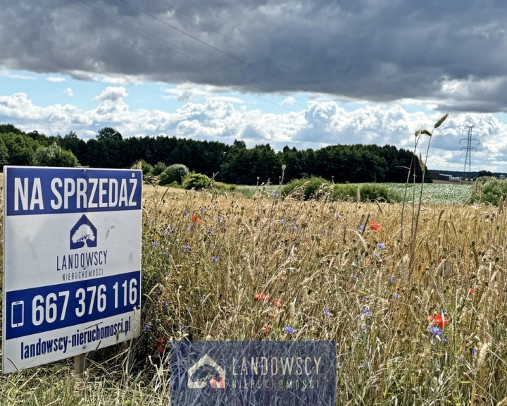 Działka Sprzedaż Janowo Piaskowa