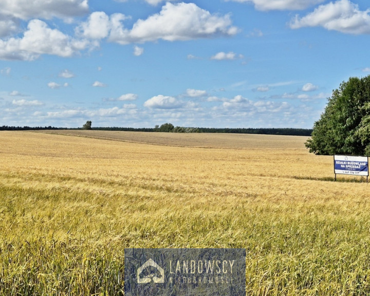 Działka Sprzedaż Linowiec