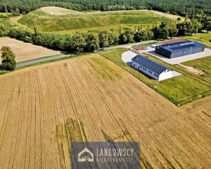 Działka Sprzedaż Linowiec