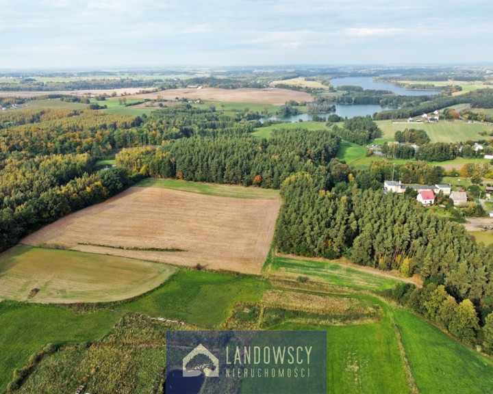 Działka Sprzedaż Trzcińsk