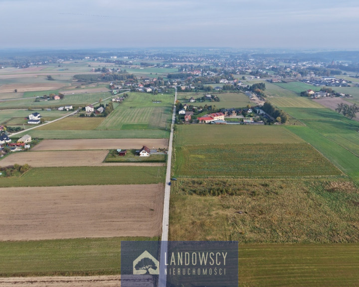 Działka Sprzedaż Zblewo Leśna