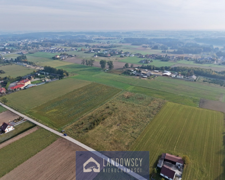 Działka Sprzedaż Zblewo Leśna