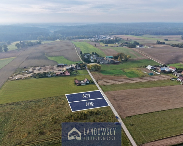 Działka Sprzedaż Zblewo Leśna
