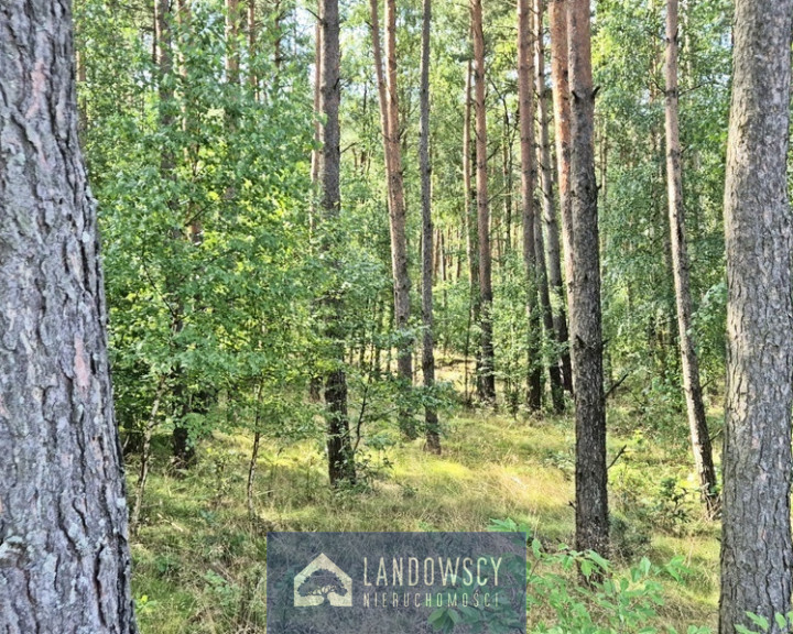 Działka Sprzedaż Osowo Leśne